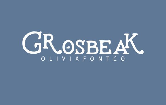 Grosbeak: A Font That Breathes Life Into Your Editorial Design