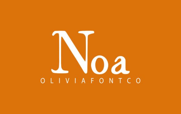 Noa Font for Web Design: A Beautiful Script with Purpose